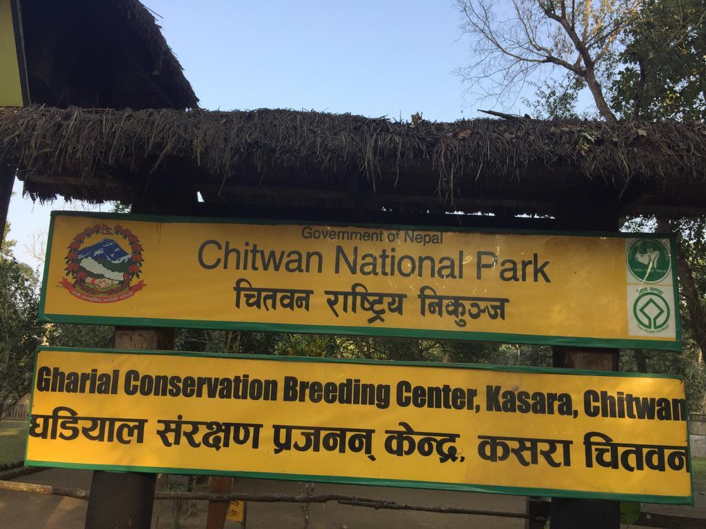 Chitwan Safari Camp & Lodge Sauraha Zewnętrze zdjęcie