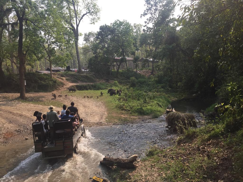 Chitwan Safari Camp & Lodge Sauraha Zewnętrze zdjęcie