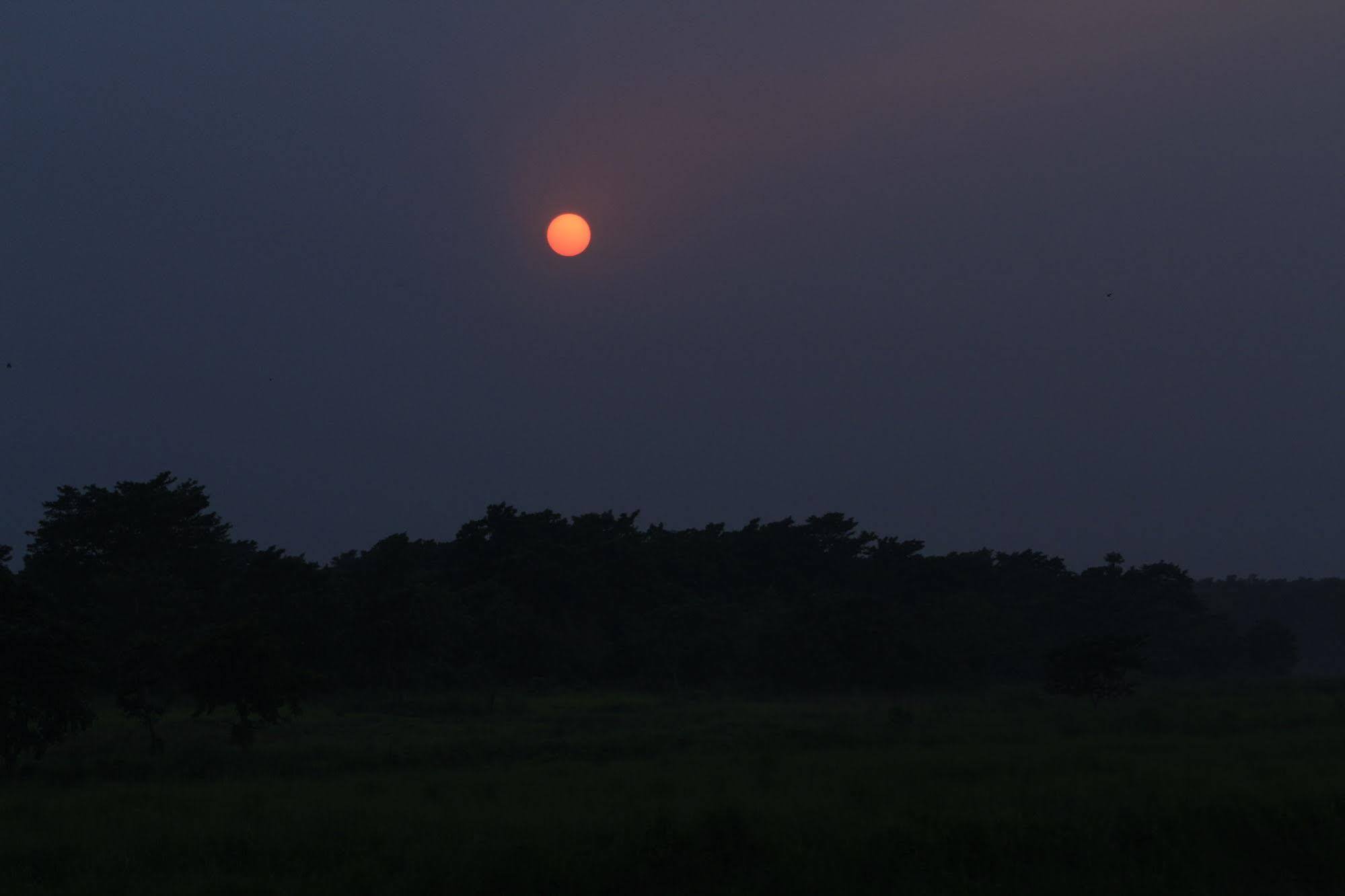 Chitwan Safari Camp & Lodge Sauraha Zewnętrze zdjęcie