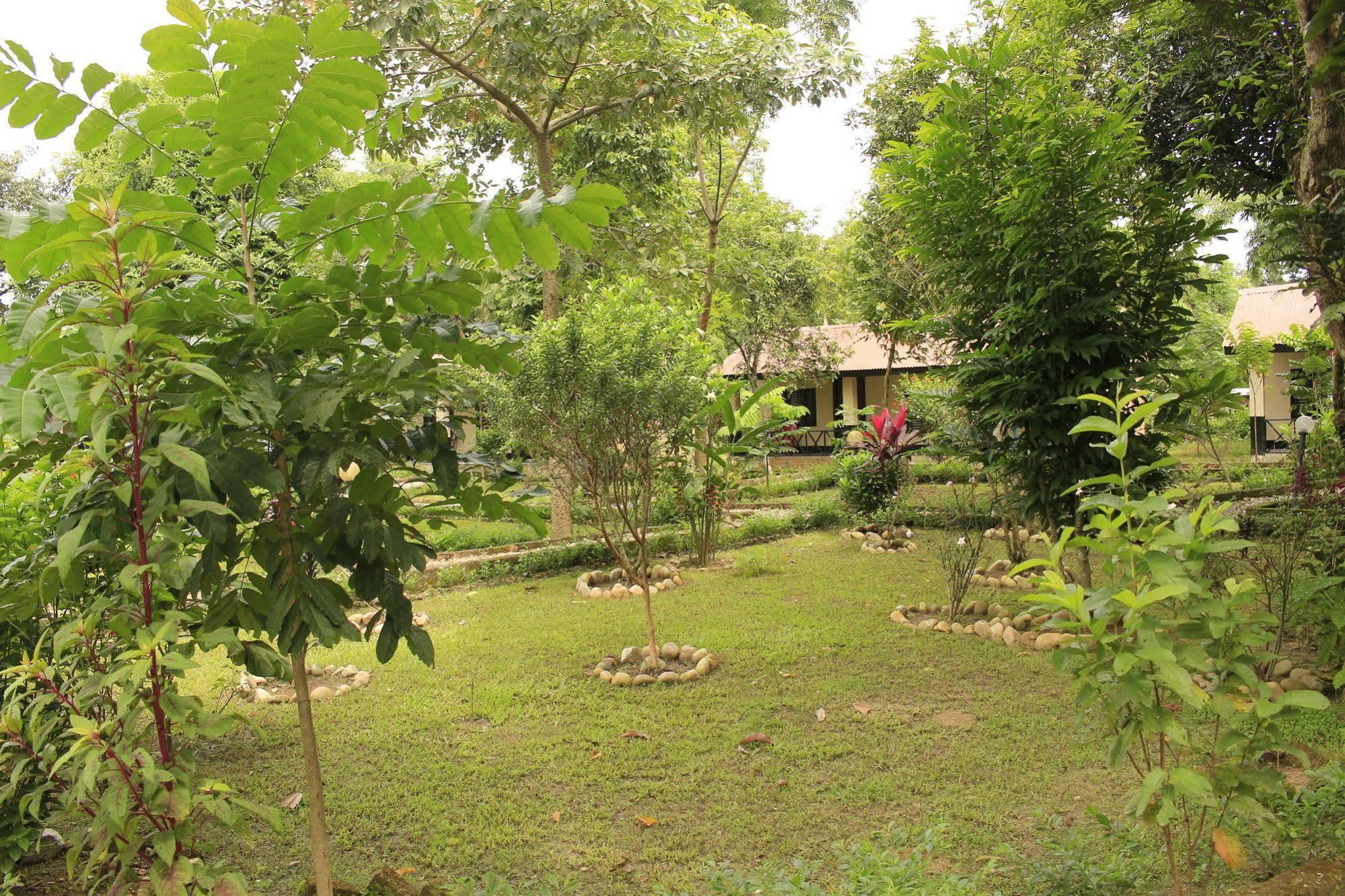 Chitwan Safari Camp & Lodge Sauraha Zewnętrze zdjęcie